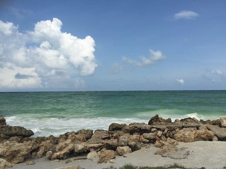 Manatee Memorial Hospital - 10 Photos & 13 Reviews - Cardiologists