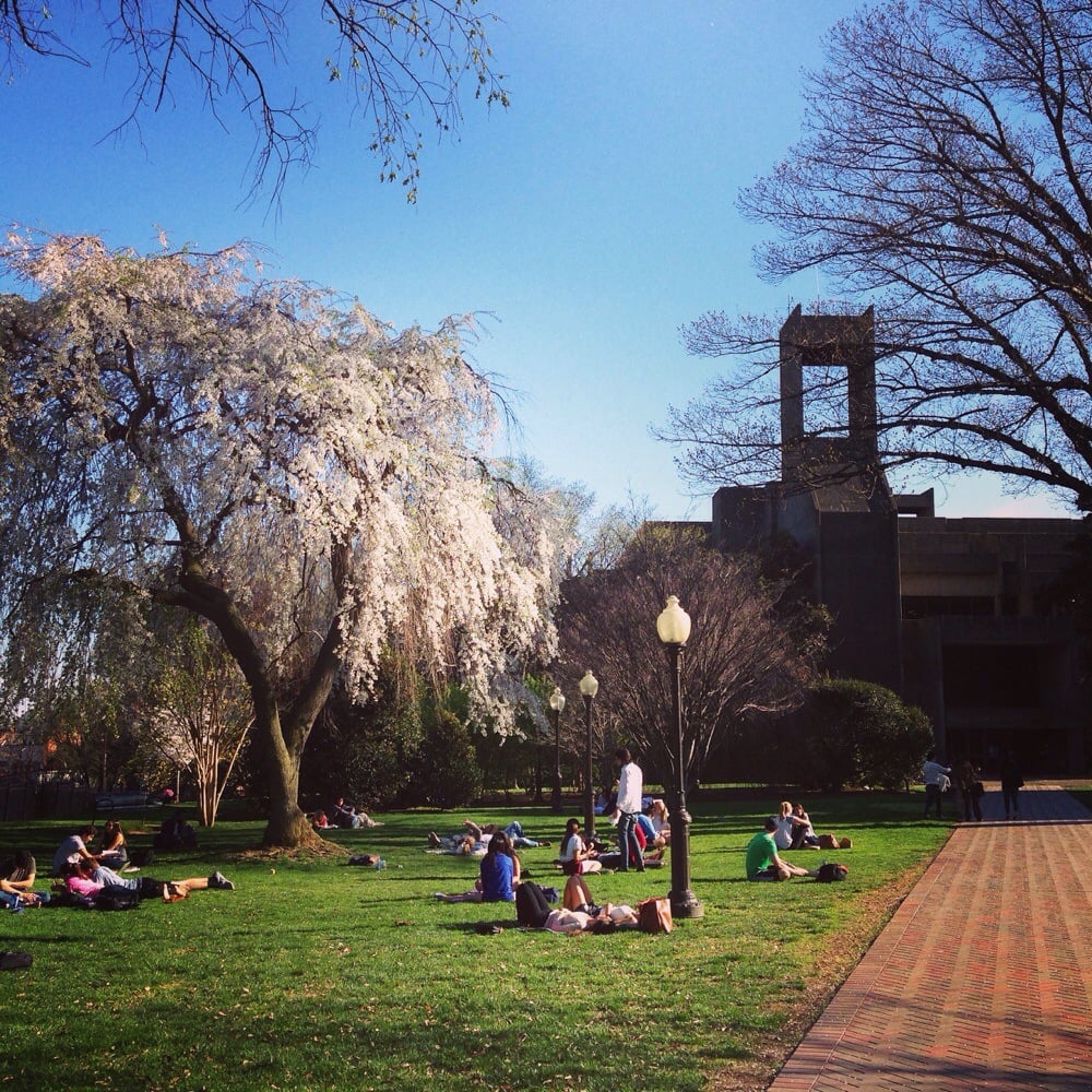 University Library 20 Photos & 12 Reviews Libraries