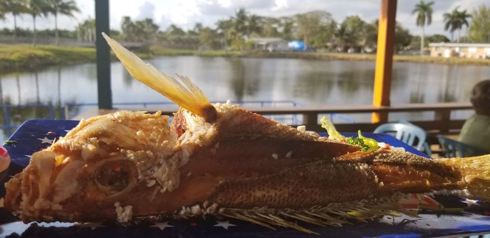 Sonia's Seafood Restaurant Sonia's Seafood Restaurant