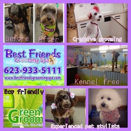 Best Friends Dog Grooming Surprise Az Best Friends Dog Grooming Surprise Az
