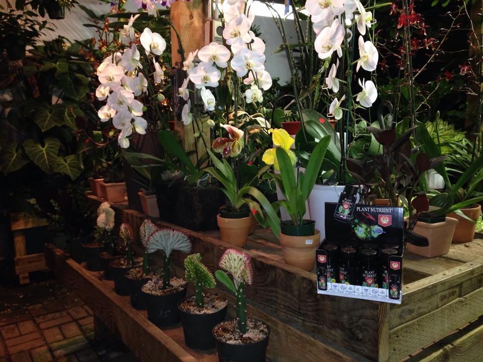 La Cienega Nursery 24 Photos & 35 Reviews Nurseries & Gardening