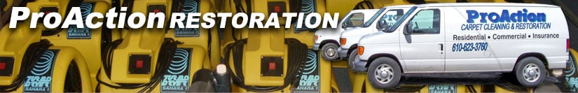 Pro Action Restoration