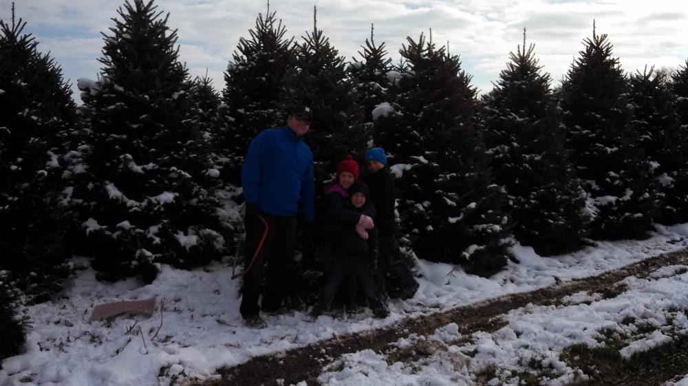 photos for badger country christmas tree farm yelp photos for badger country christmas tree farm yelp