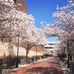 virginia commonwealth university closed