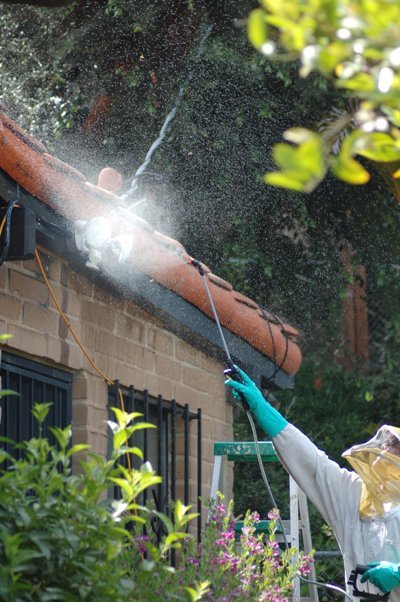 Hurst Exterminators And Gopher Control