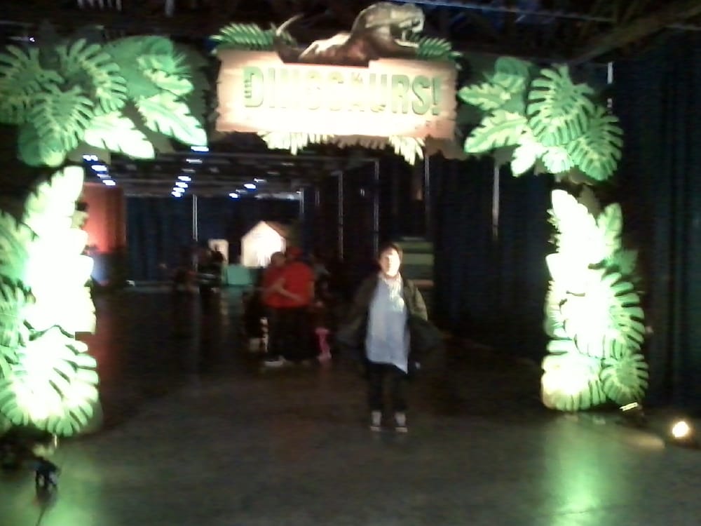 Discover the Dinosaurs