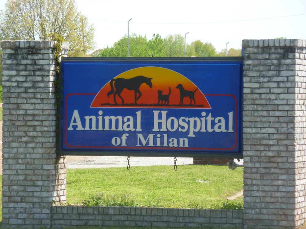 Animal Hospital Of Milan Veterinarians 14075 S 1st St, Milan, TN