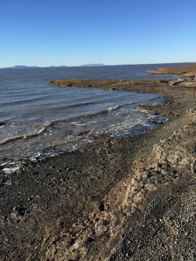 Eden Landing Ecological Reserve 32 Photos Local Flavor 1812 9th St, Hayward, CA Phone