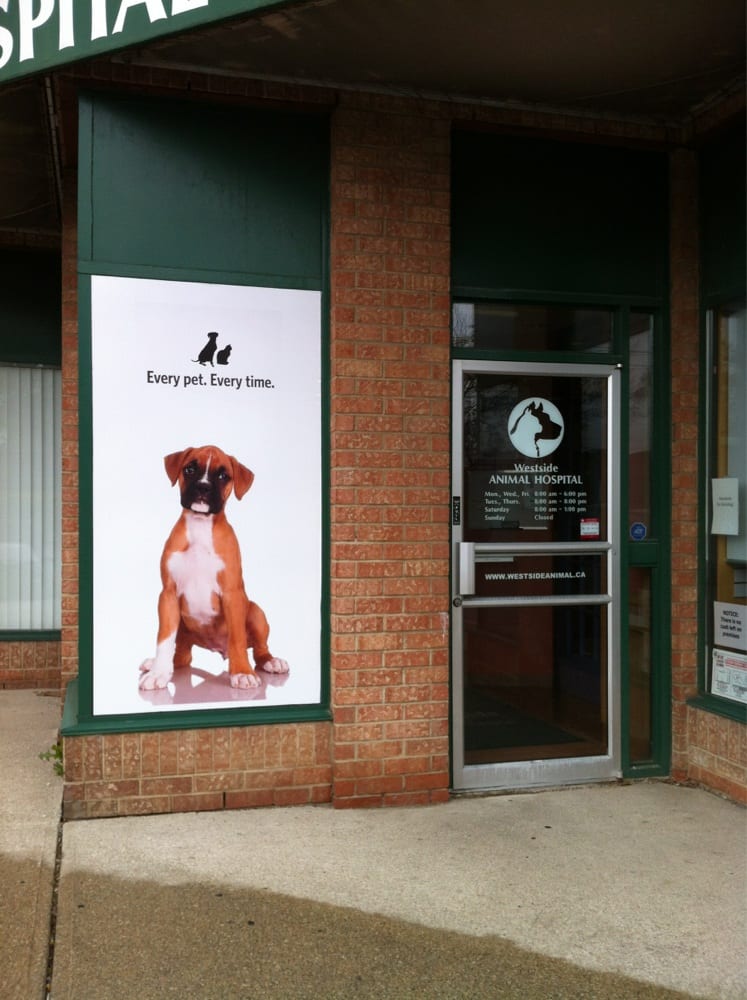 Westside Animal Hospital Veterinarians 2700 Dufferin Street