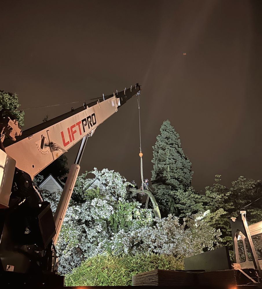 Tree State Property Maintenance
