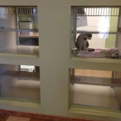 Cibolo Canyons Veterinary Hospital photo