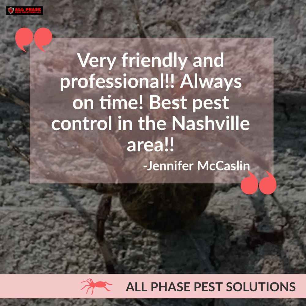 All Phase Pest Solutions