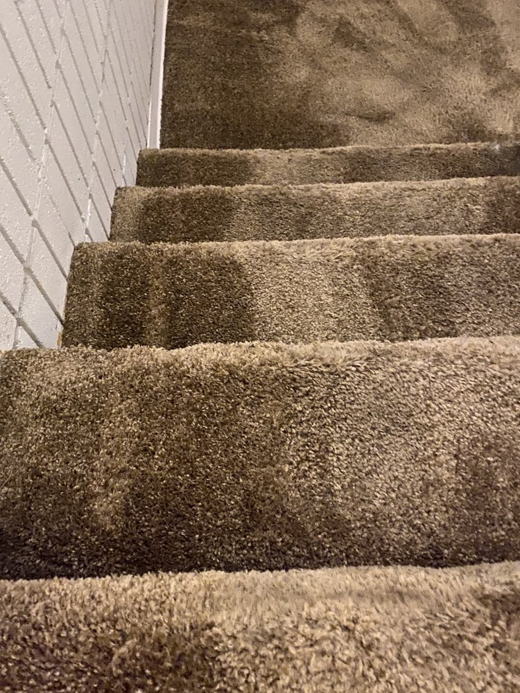Carpet Gigs