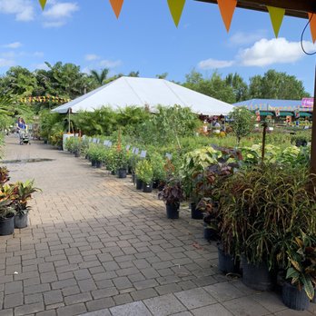 Flamingo Road Nursery The Best 729 Photos 158 Reviews Photo Of Flamingo Road Nursery Davie Fl United States