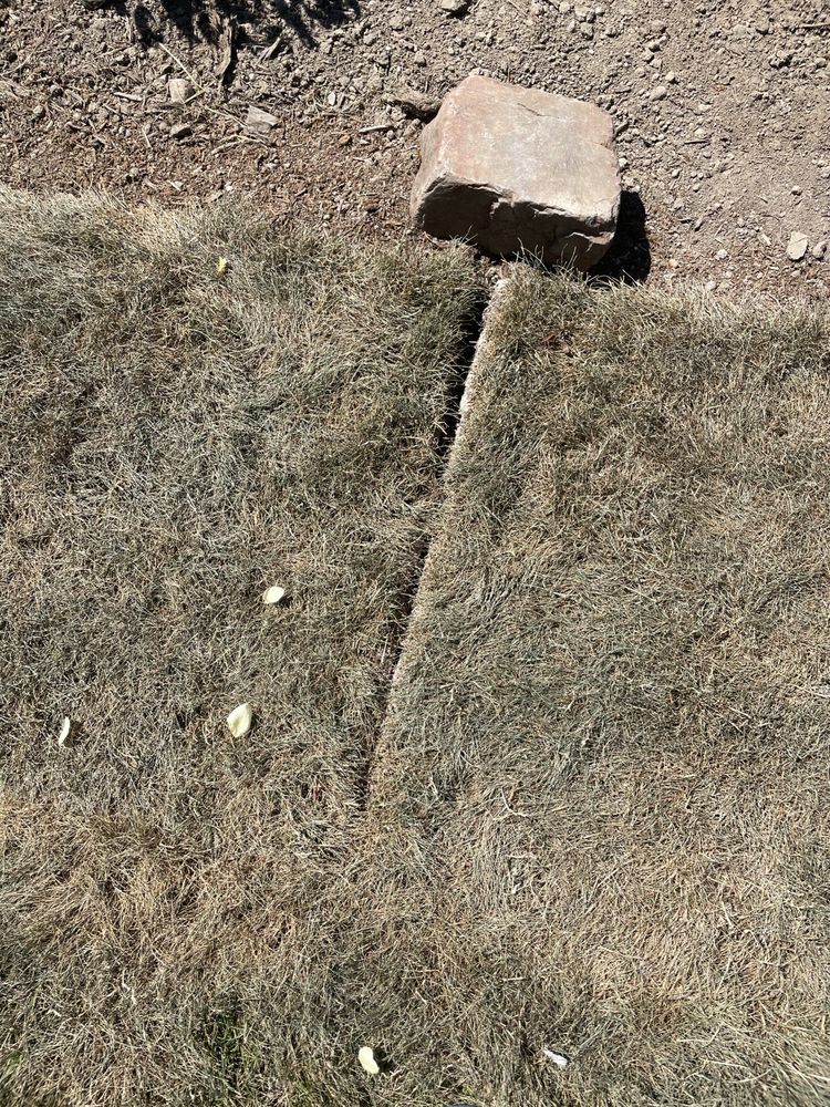 Johnny's Landscaping