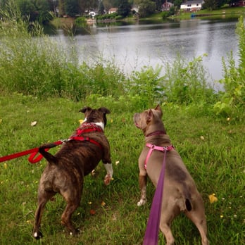 Riverside Inn Hotels 930 S 1st St Fulton Ny Phone Number Photo Of Riverside Inn Fulton Ny United States Dogs Are Welcome