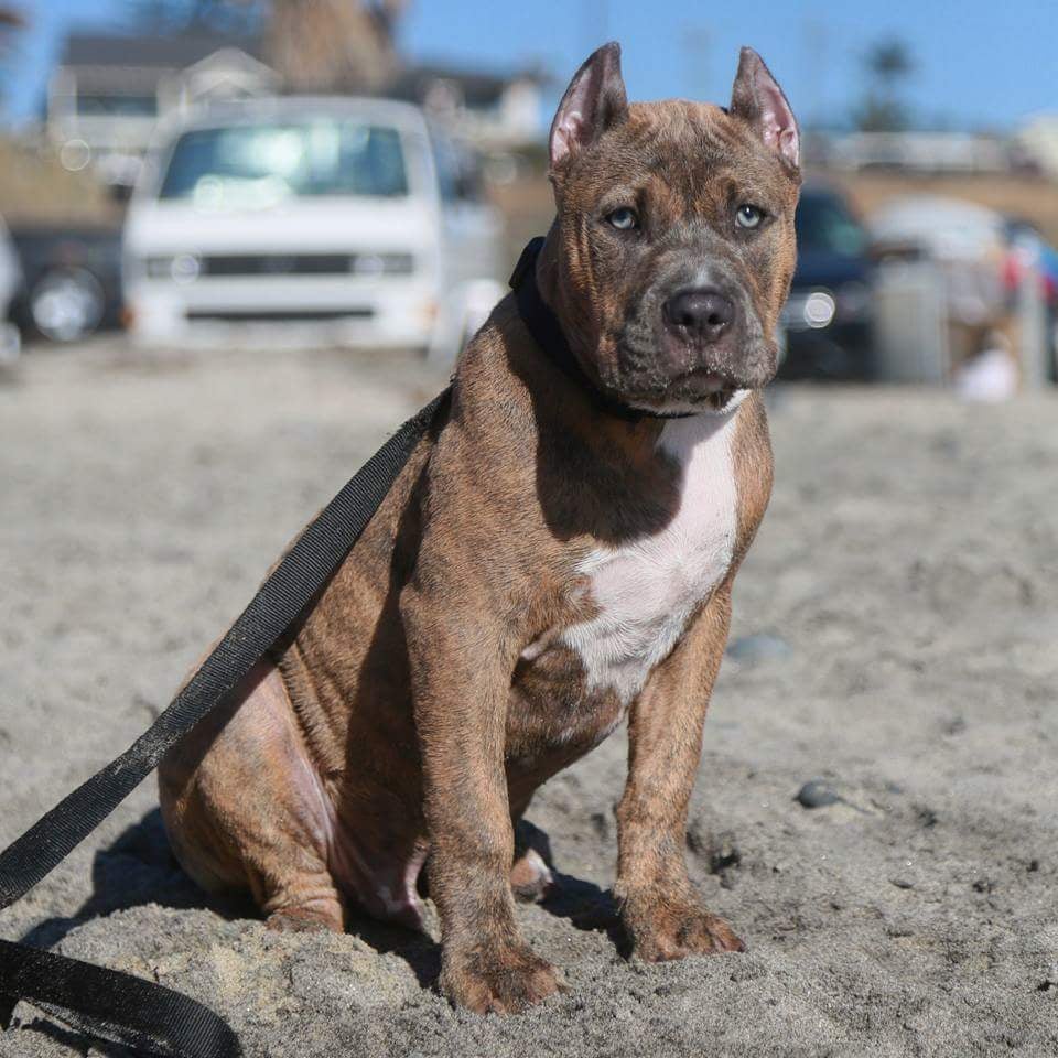 Perris Valley Veterinary Clinic 23 Photos & 24 Reviews