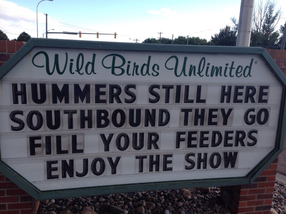 wild birds unlimited negozi di uccelli 3350 n union wild birds unlimited negozi di uccelli 3350 n union