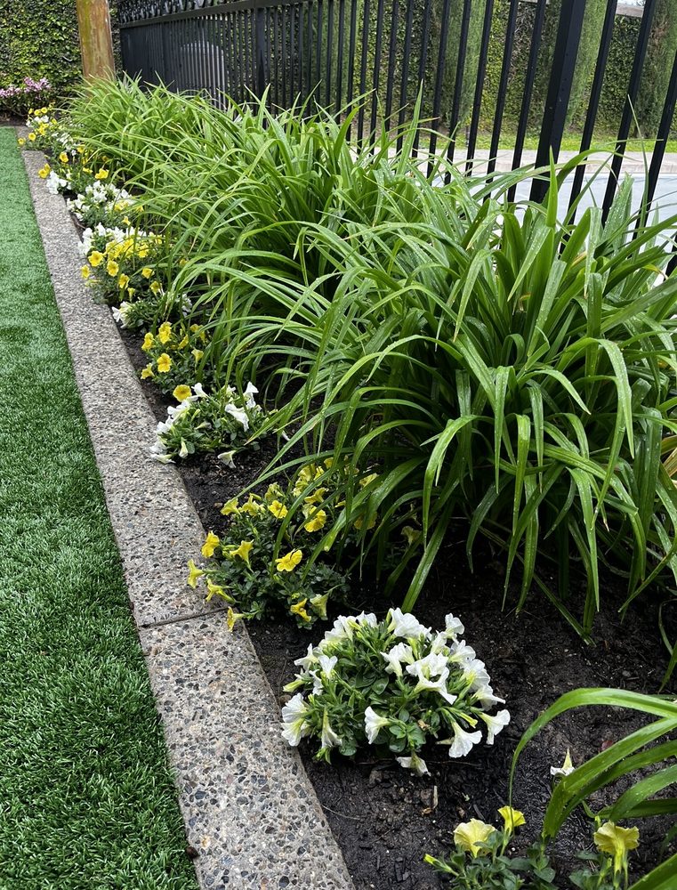 Bloom Landscape
