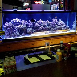 brickers pub 38 photos