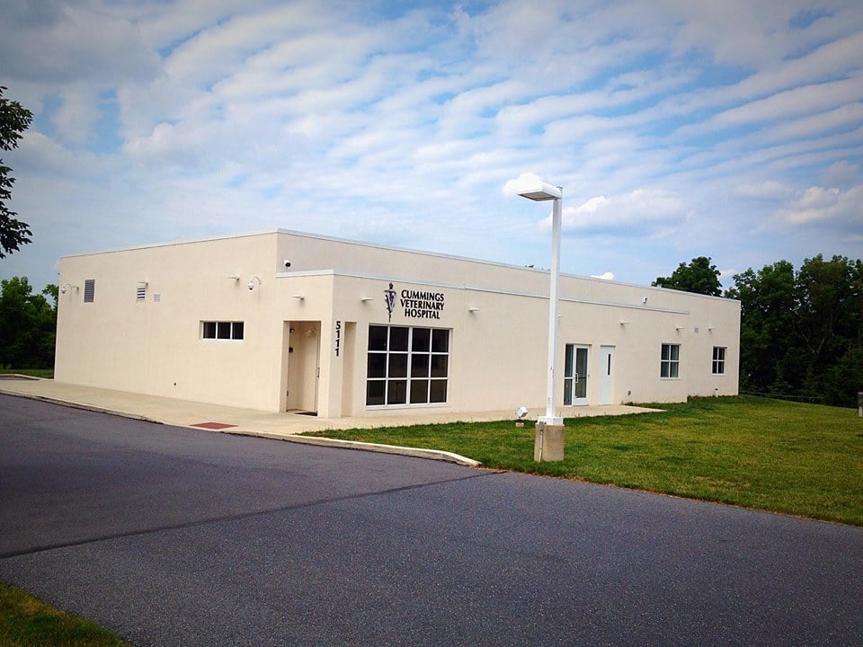 Cummings Veterinary Hospital 14 Reviews Veterinarians 5111 Church