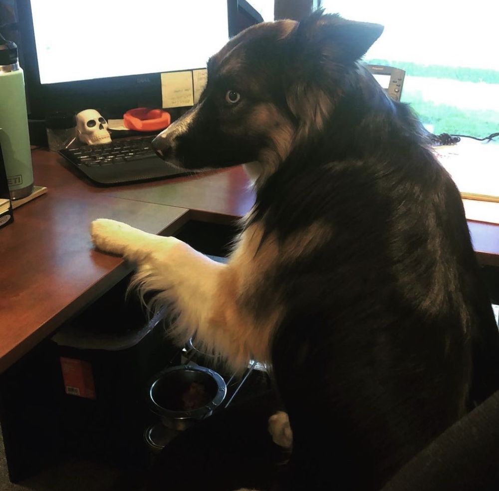 image of business Rooter Hero