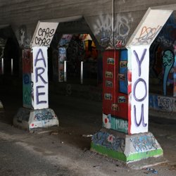 Krog op miami beach