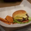 Spice Burgr