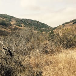 Pacific Ridge Trailhead - 17 Photos & 10 Reviews - Hiking - Ridge Park ...