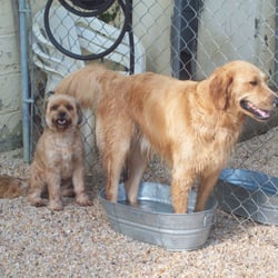 Best Friends Pet Care Marlboro Sitting 234 Boundary Rd Photo Of Best Friends Pet Care Marlboro Nj United States