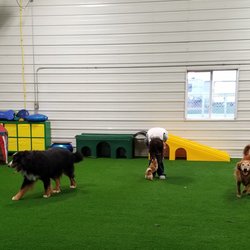 willow lodge pet resort pet sitting 861 prospect st sw le mars lemars animal