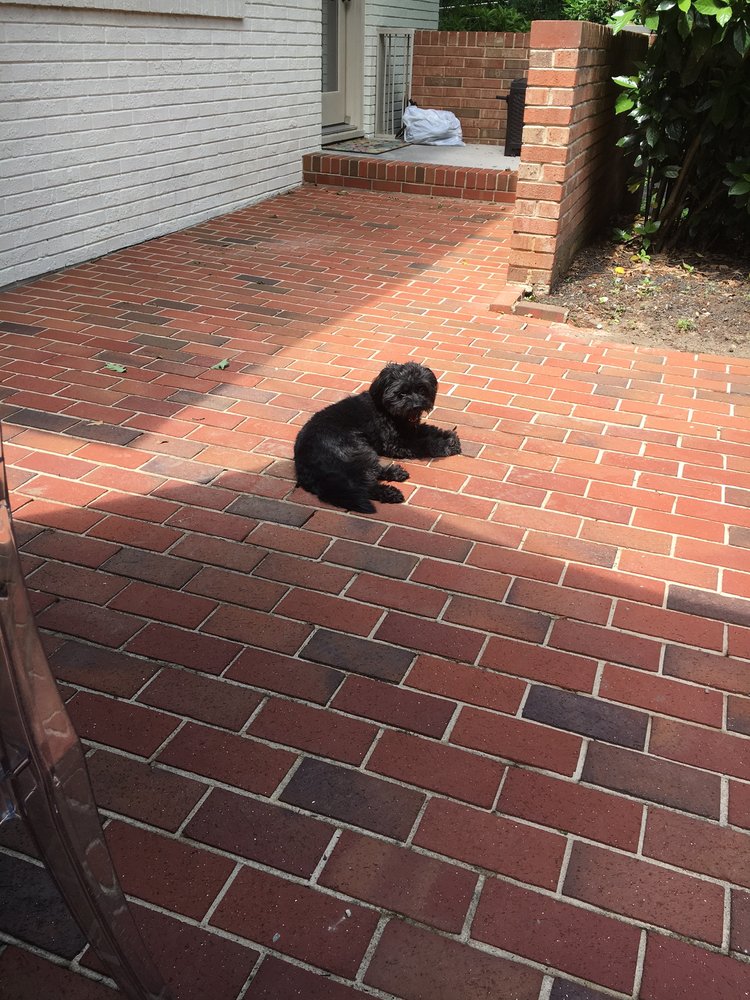 RDU Pro Wash & Paint