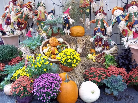 Homewood Nursery Garden Center 10809 Honeycutt Rd Raleigh Nc Hotels Nearby
