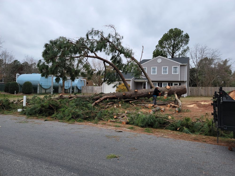 Stump B Gone Tree Removal Services and Stump Grinding