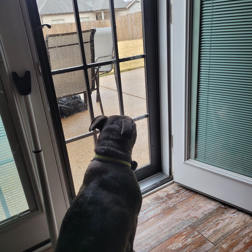 Maclin Security Doors