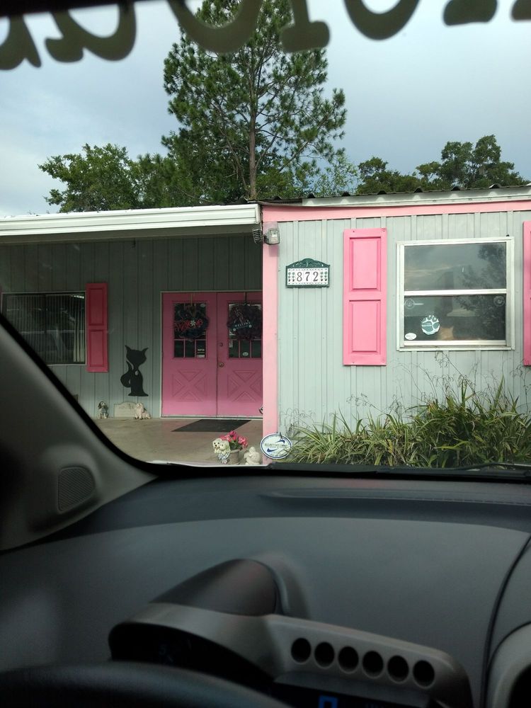 The Pet Spot Pet Groomers 872 SW Main Blvd, Lake City, FL Phone