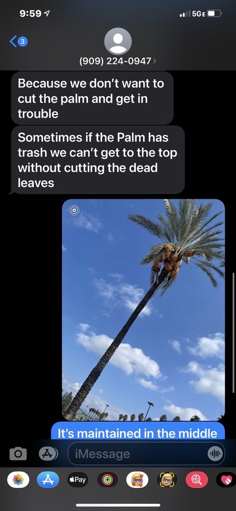 MTC Tree Care