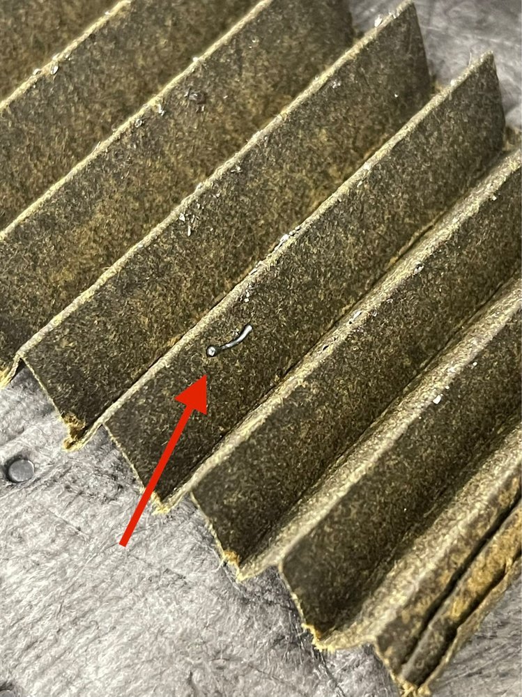 Tri-Cities Battery Tire Pros