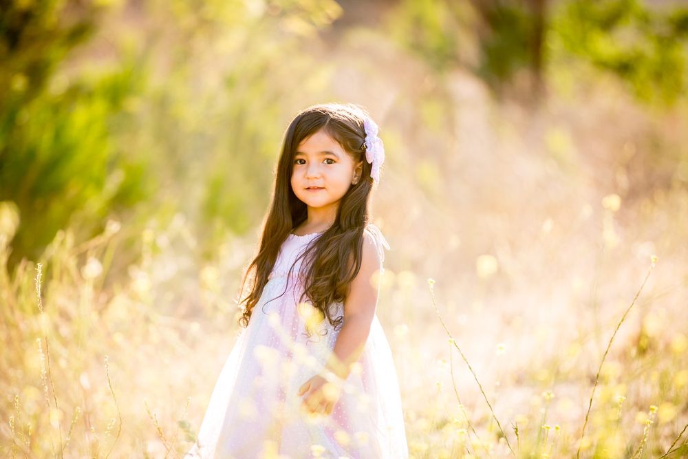 Lindsey Lane Photography