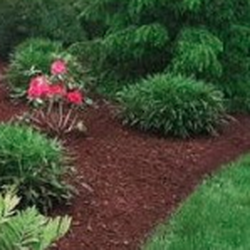Top 10 Best Scotts Lawn Care Near Cranberry Township Pa 16066 Chris Schoedel Lawn Care Landscaping