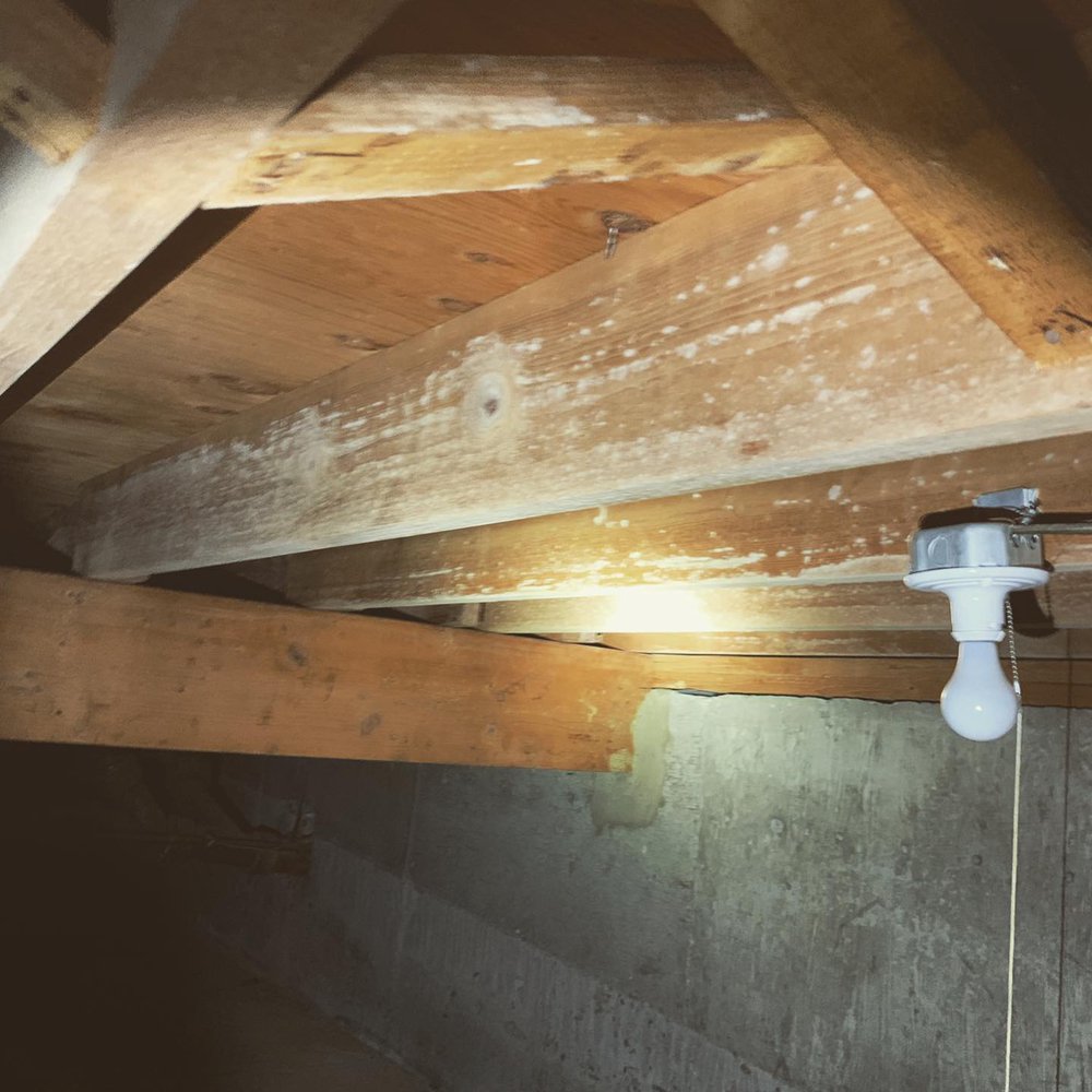 True View Home Inspections