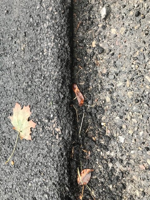 Mazza Paving & Sealcoating