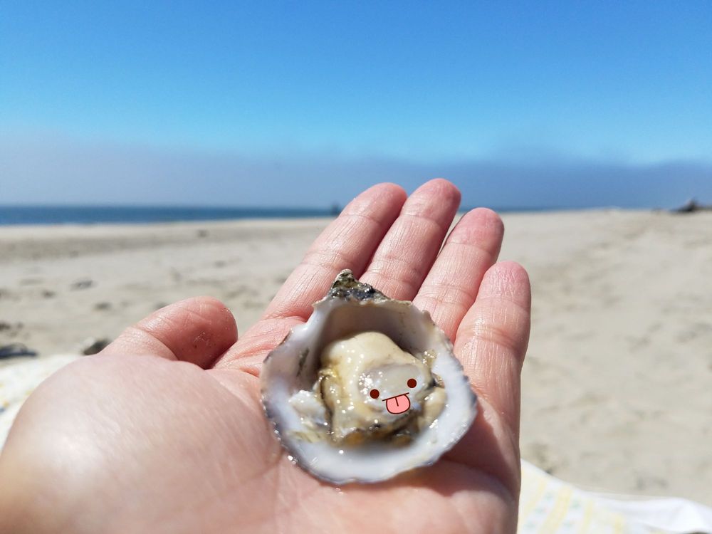 Nevør Shellfish Farm 17 Photos & 13 Reviews Seafood Markets 6060