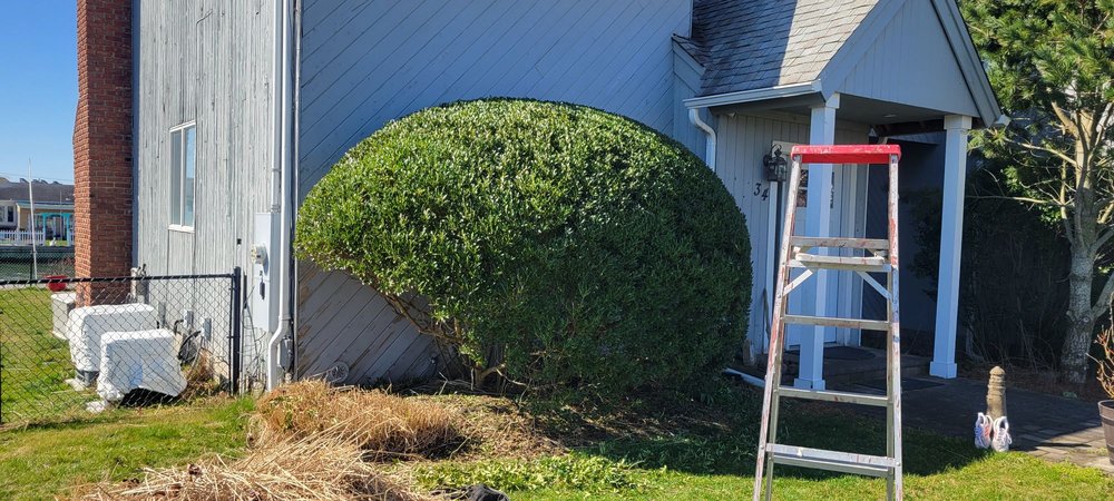 Quick Solution Property Care