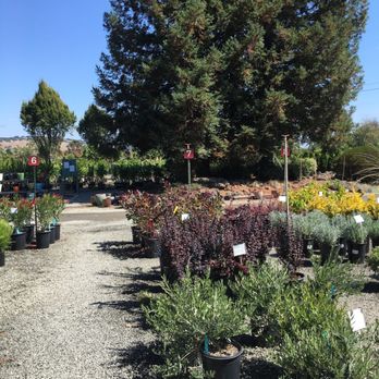 Urban Tree Farm Nursery 47 Photos 68 Reviews Nurseries Photo Of Urban Tree Farm Nursery Fulton Ca United States