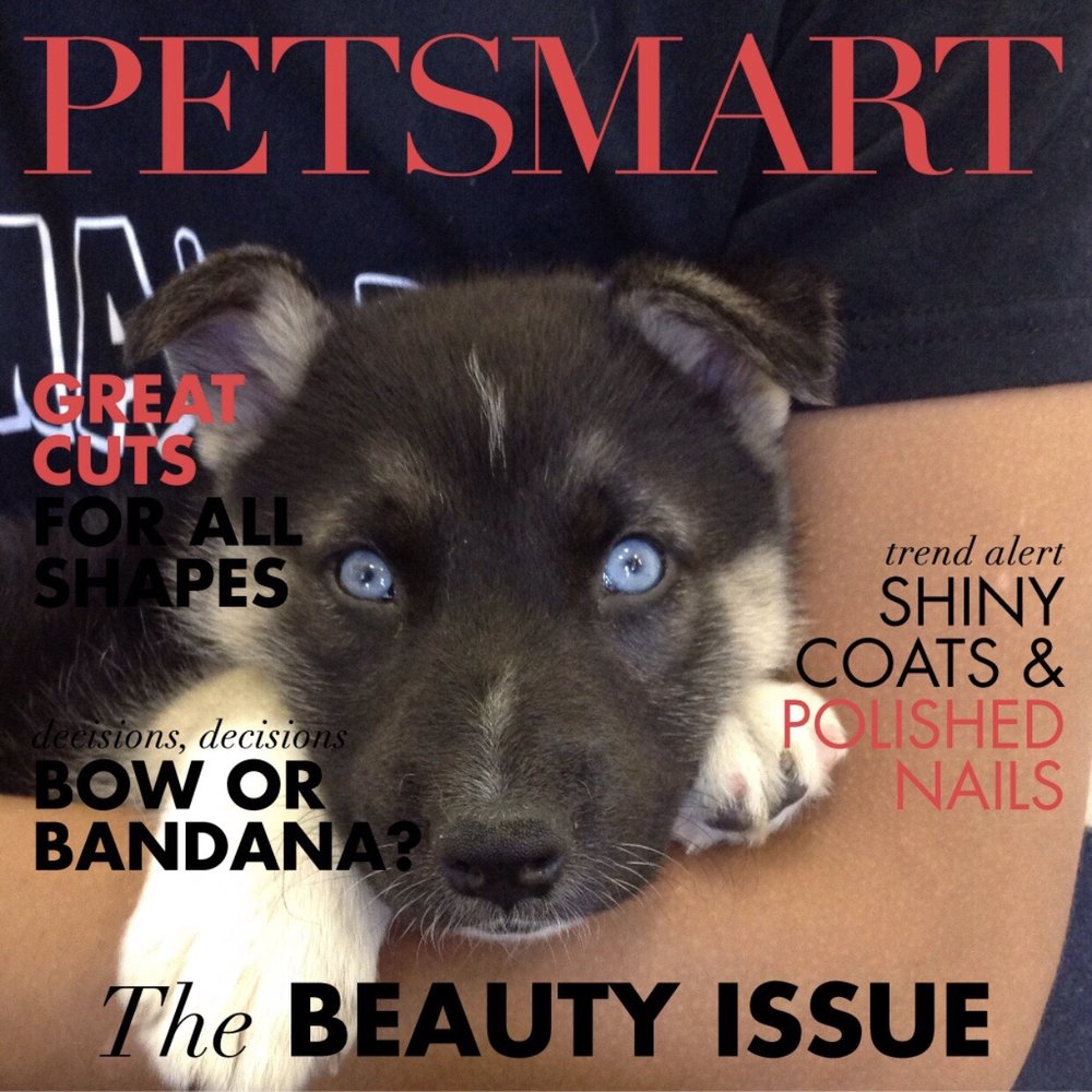 petsmart 12 photos 25