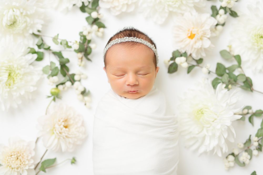 So Cute Photo