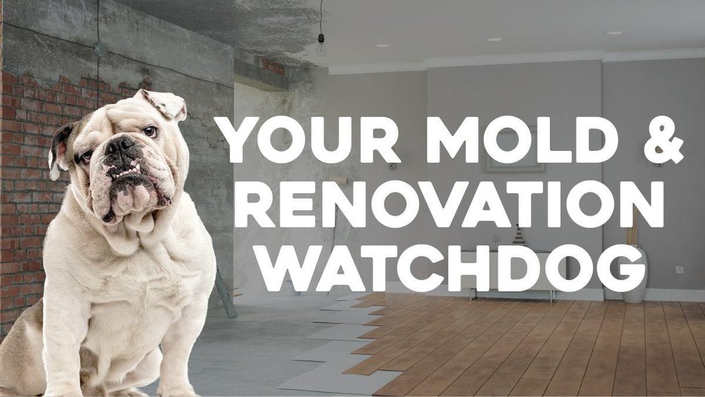 image of business Reno Renovation