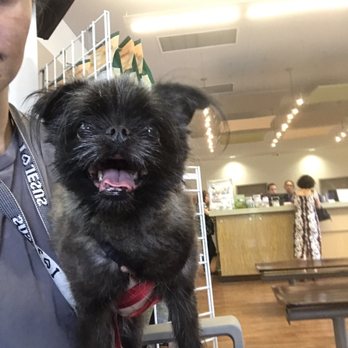Waipahu Waikele Pet Hospital - 126 Photos & 181 Reviews ...