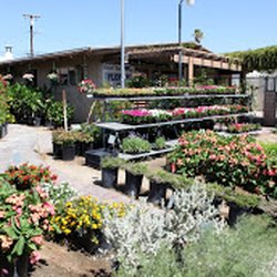 Desert Hot Springs Florist Nurseries Gardening 12695 Palm Dr Photo Of Desert Hot Springs Florist Ca United States